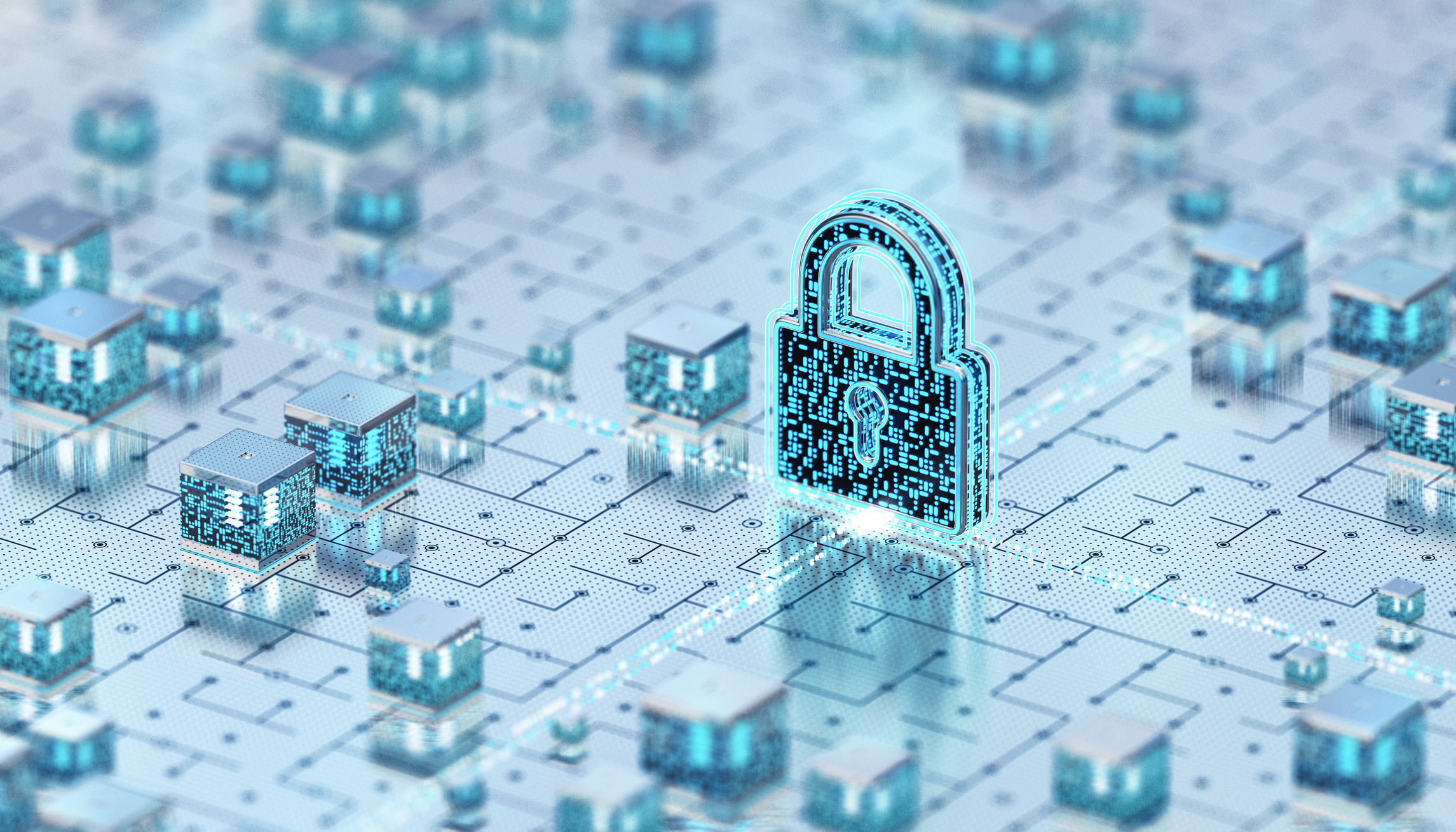 Let’s get cyber-savvy: Tips for fibre broadband customers 